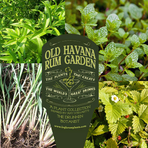 drunken-botanist-plants